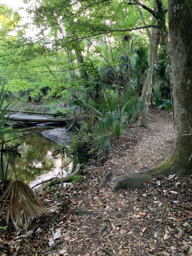 walking near me in Torcaso Park in winter