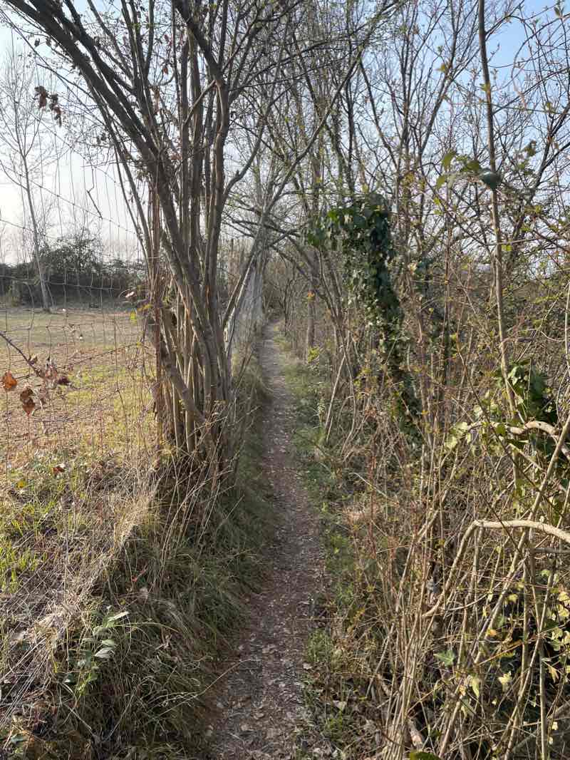 walking near me in Parco dei Laghetti di Rorai in winter