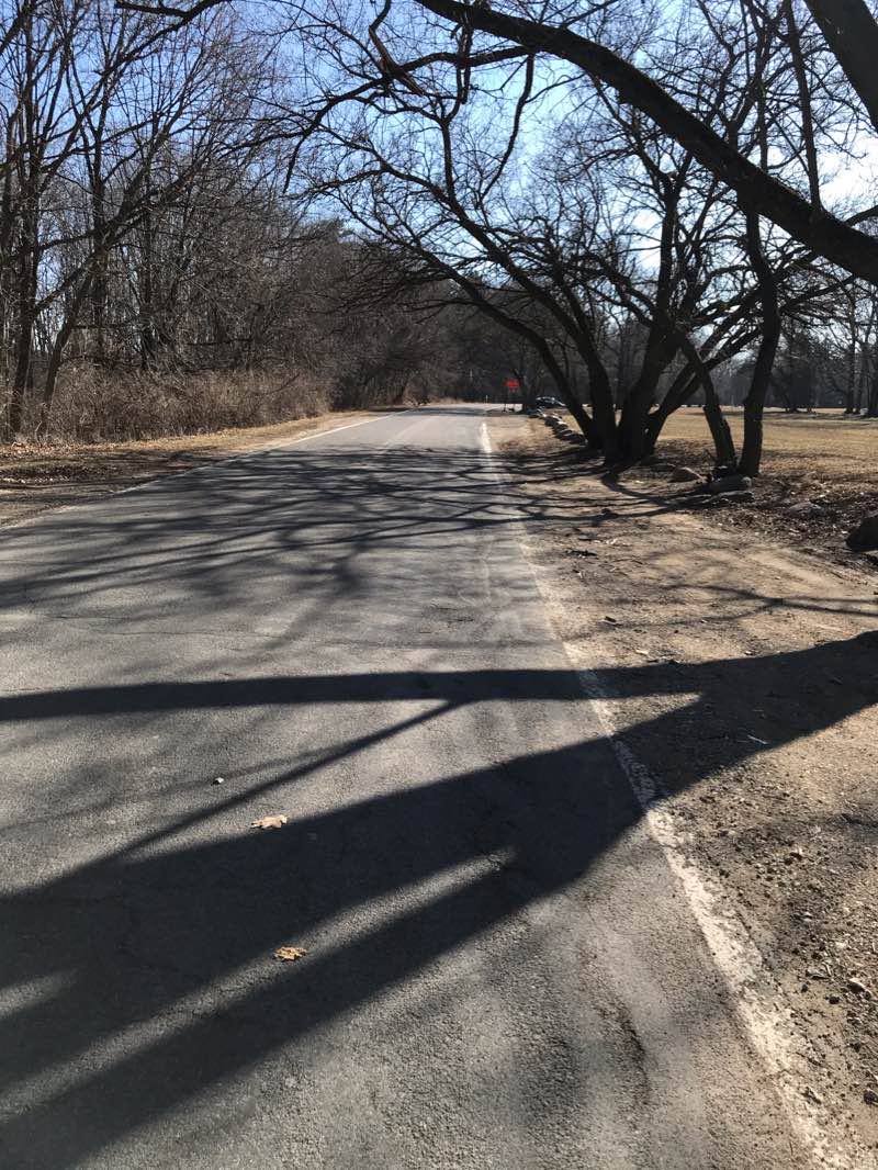 walking near me in Ella Sharp Park in winter