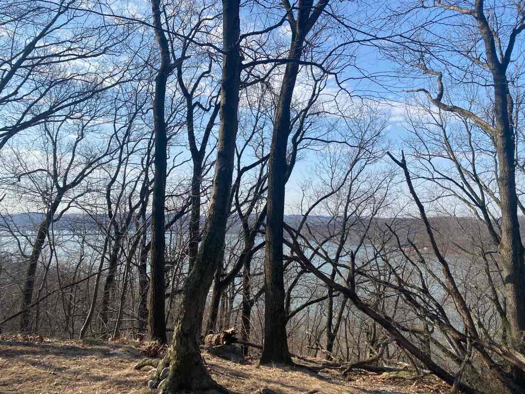 walking near me in Chickies Rock County Park in winter
