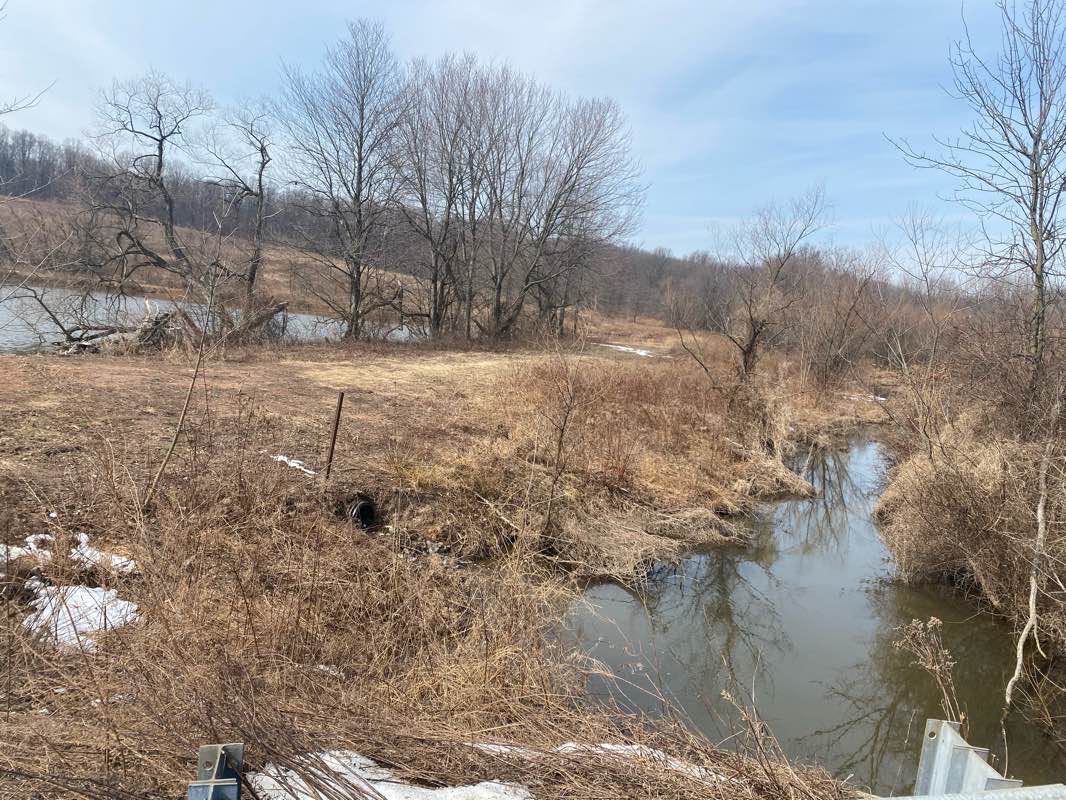 walking near me in Middle Creek Wildlife Management Area in winter