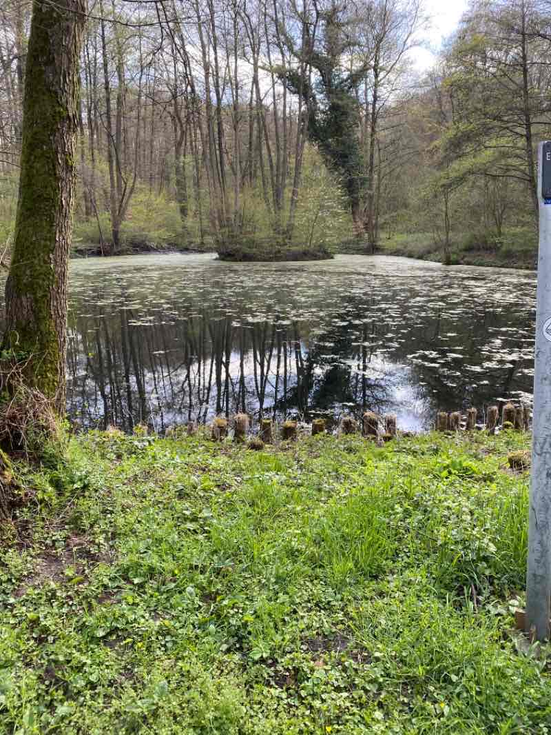 walking near me in Gutspark in winter