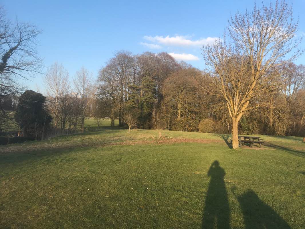 walking near me in Leagrave Park in winter