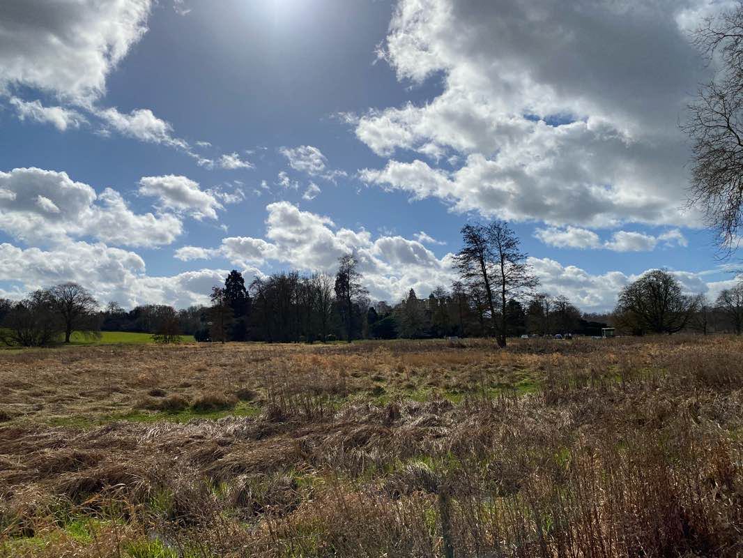 walking near me in Shortgrove Park in winter