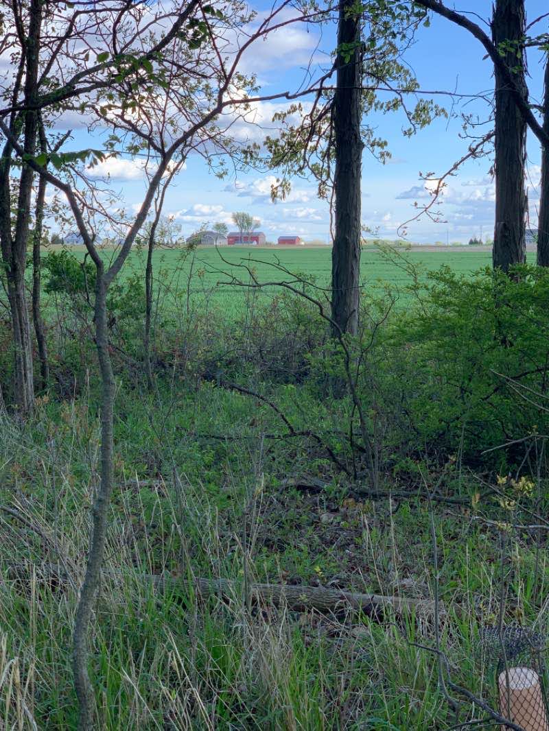 walking near me in Homecoming Park in winter