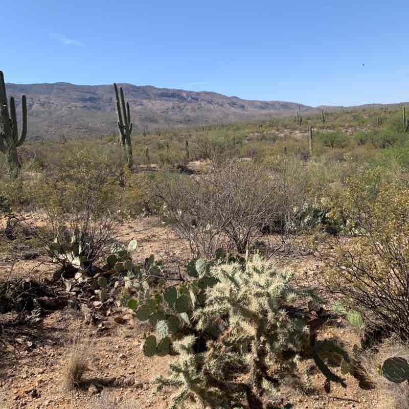 Don’t talk about it, Walk about it. post 1