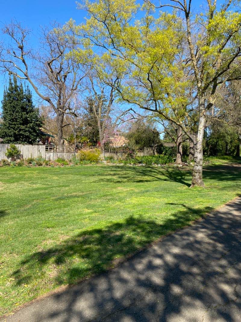 walking near me in Northstar Park in winter