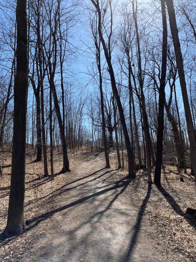 walking near me in Conservation Drive Park in winter