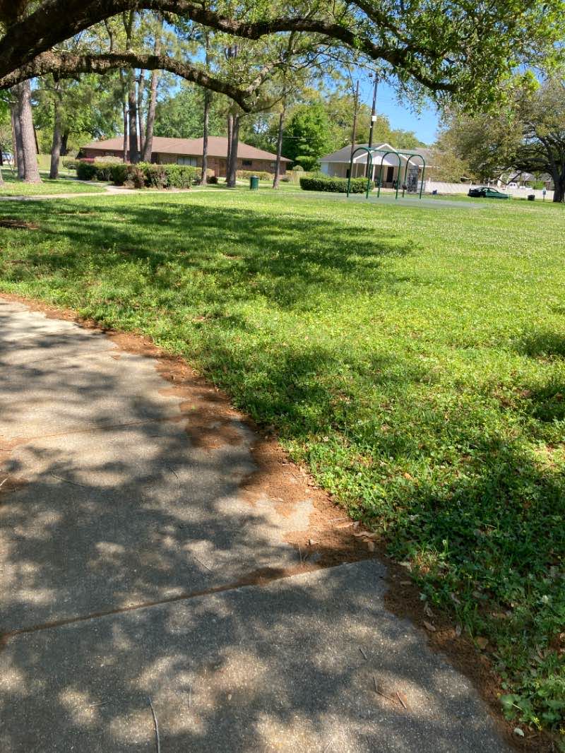 walking near me in Maple Avenue Park in winter