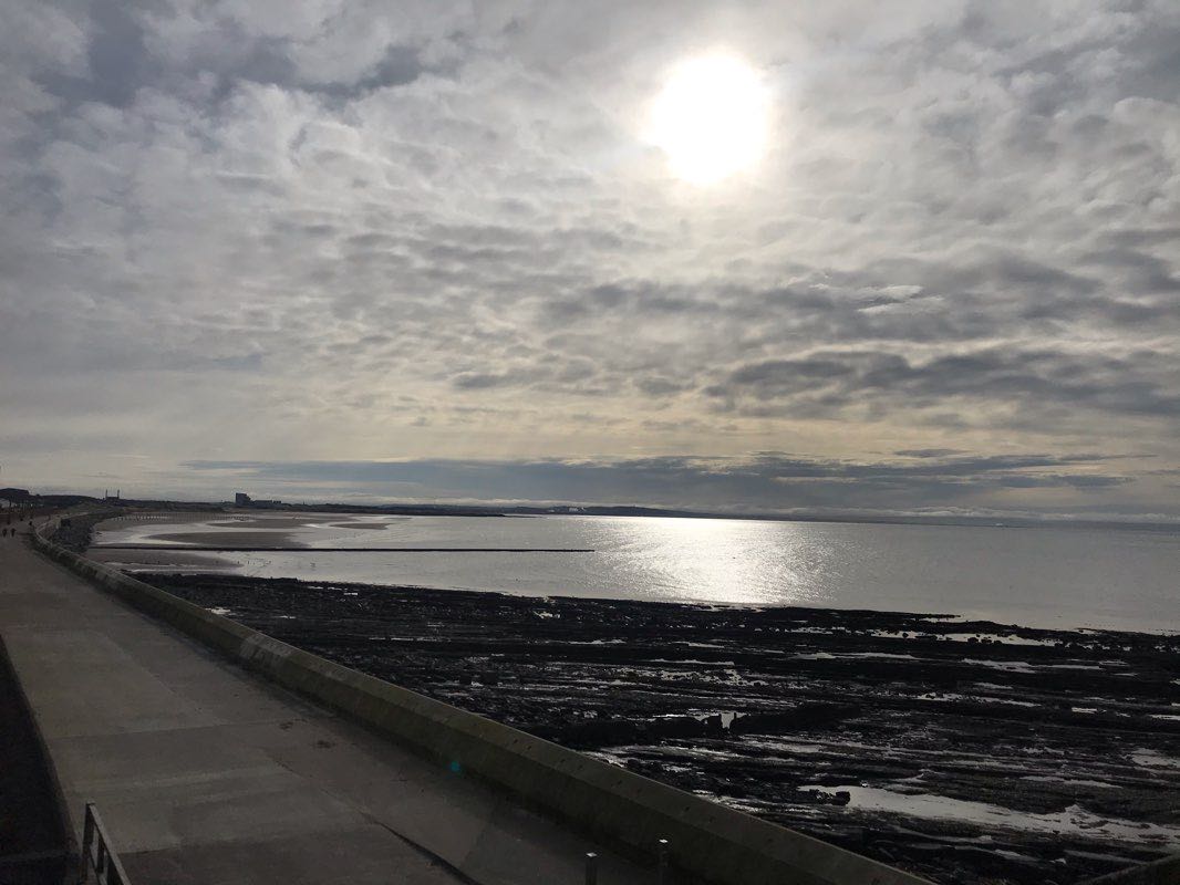 walking near me in Glebe Park in winter