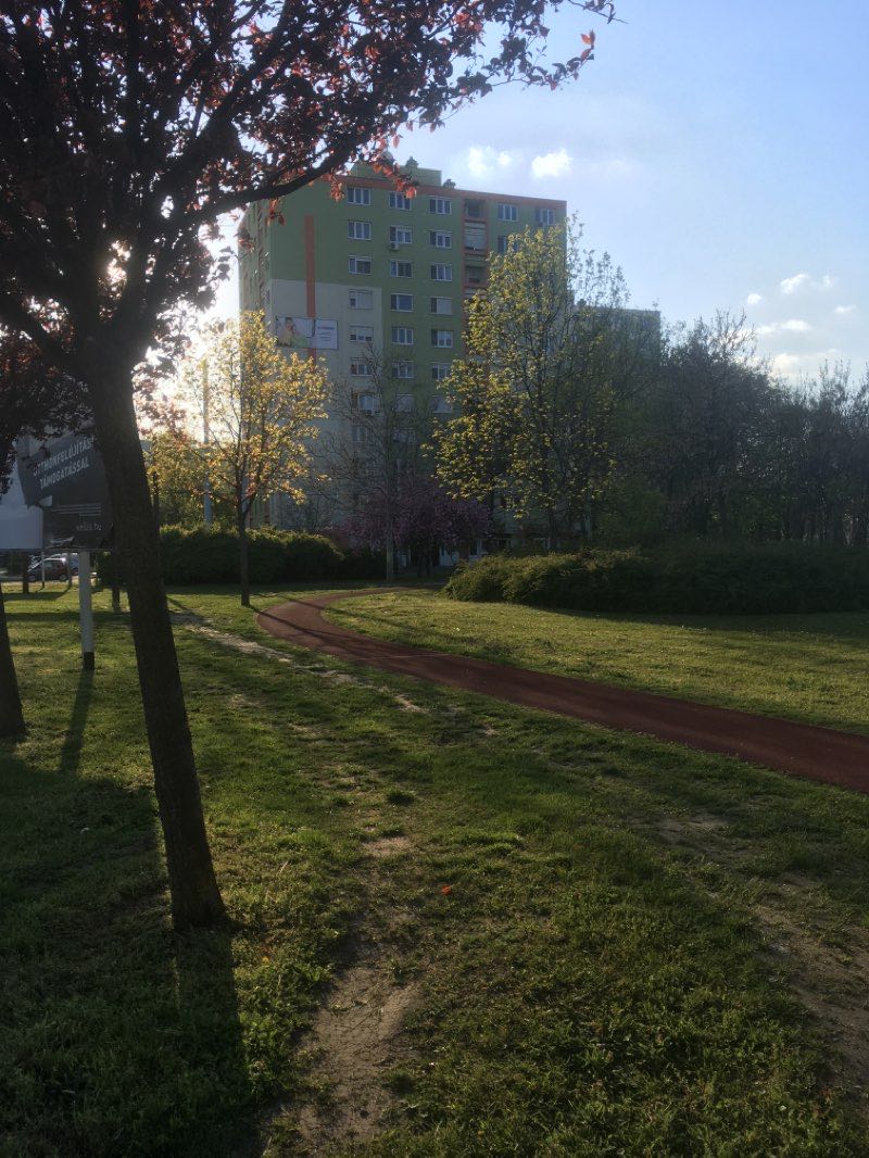 walking near me in Vértó park in winter