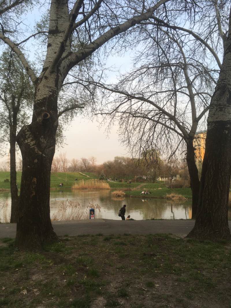 walking near me in Zápor kert in winter