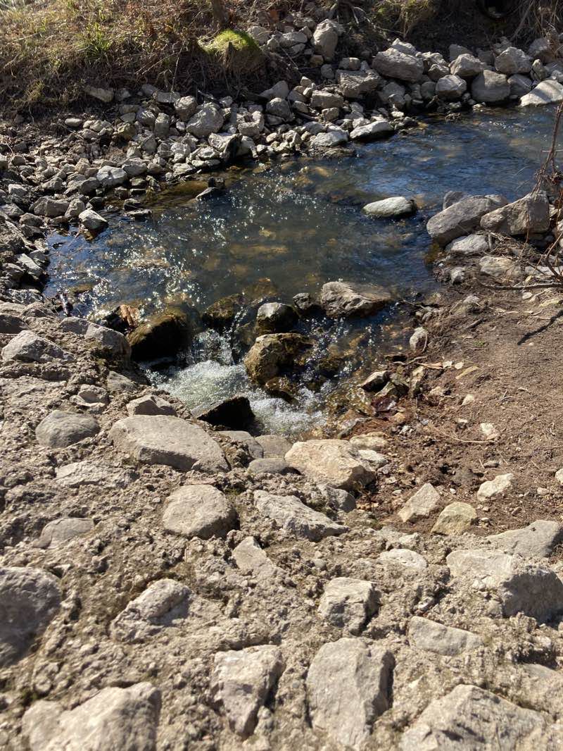 walking near me in Helder Park in winter