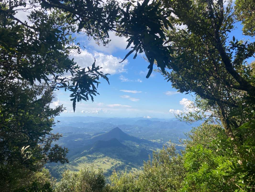 walking near me in Limpinwood Nature Reserve in summer