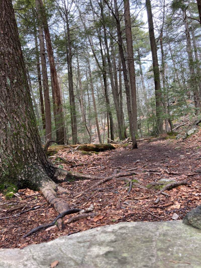 walking near me in Beverly Commons in winter