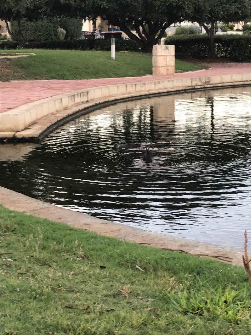 walking near me in Bellimos Park in summer