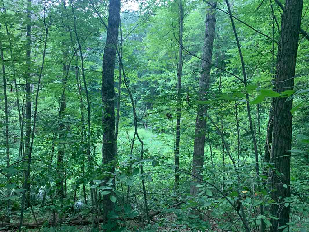 walking near me in Bald Mountain State Recreation Area in winter