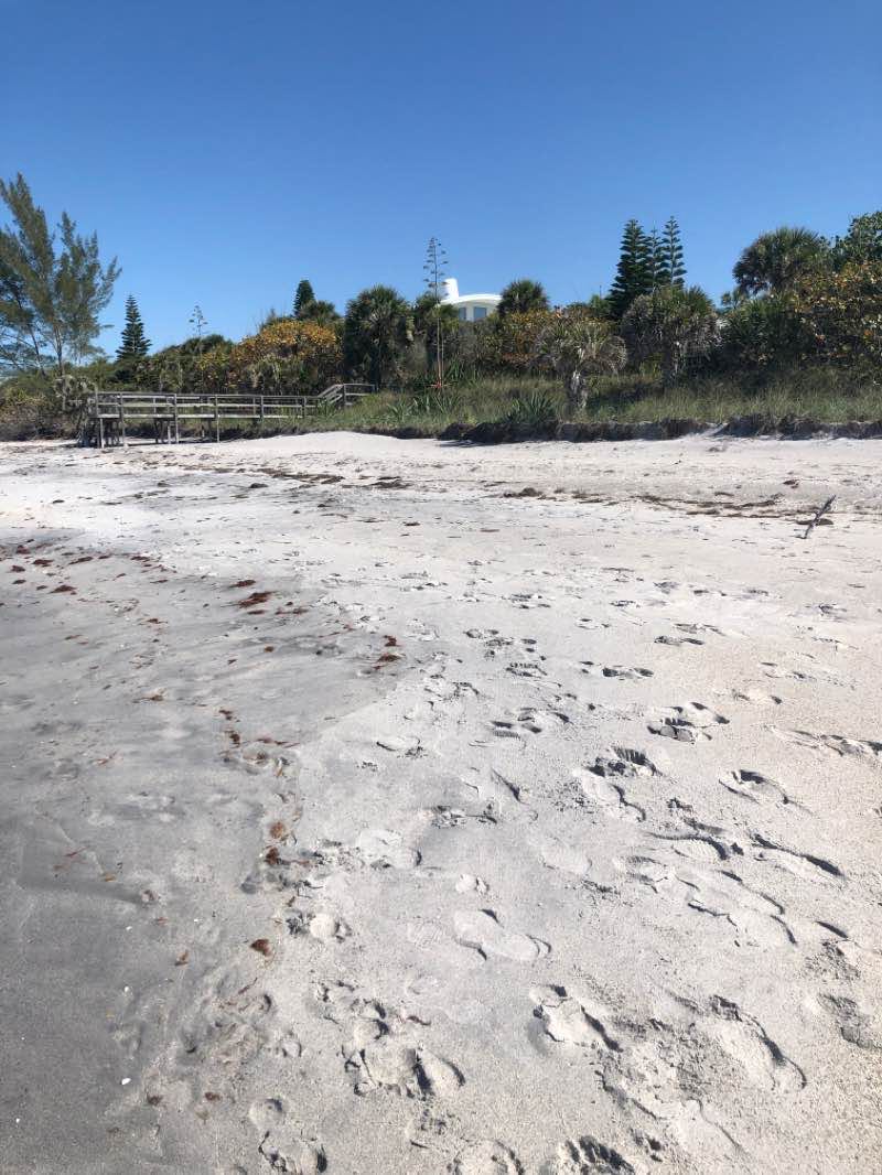 walking near me in Manasota Public Beach in winter