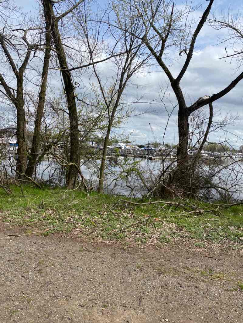 walking near me in Amico Island County Park in winter