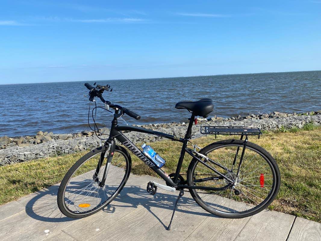 walking near me in Vincent Clune Park in winter