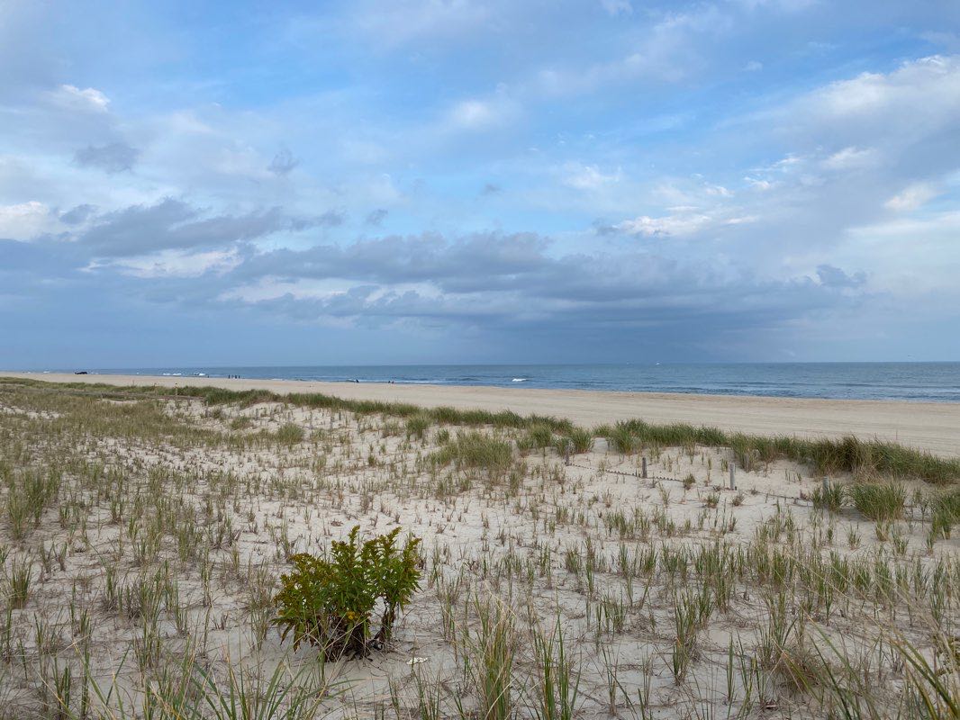 walking near me in Barnegat Branch Trail in winter
