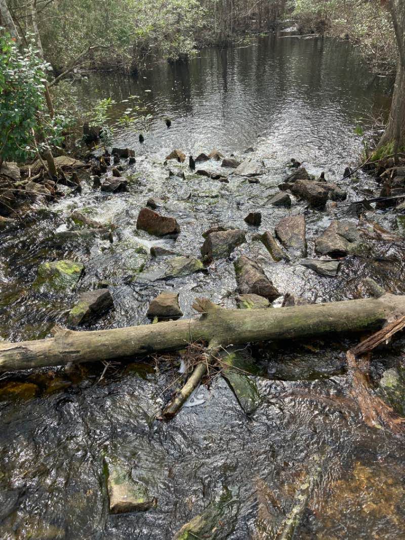 walking near me in N R Goodale State Park in winter