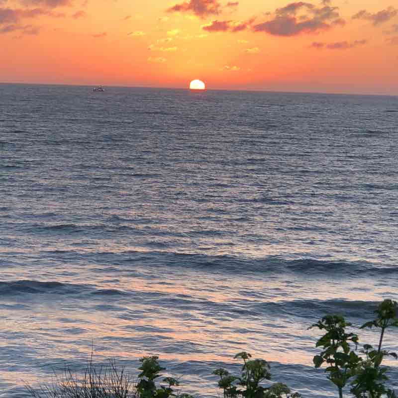 Surya (Waterford) post 1