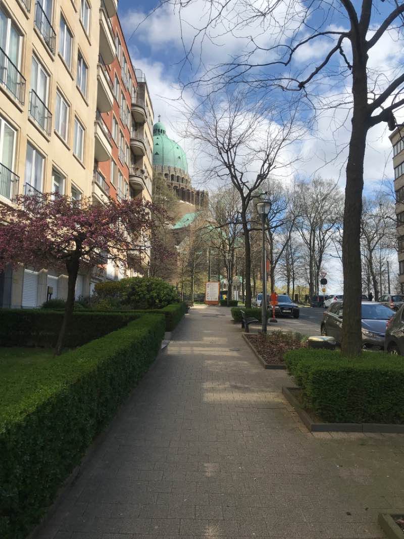 walking near me in Parc Élisabeth - Elisabethpark in winter