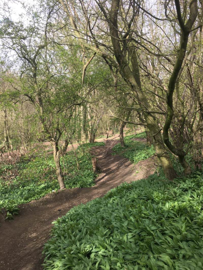 walking near me in Queen's Park in winter