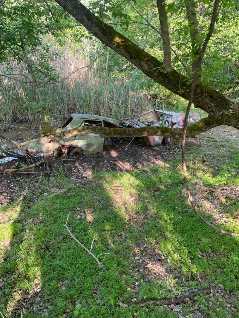 walking near me in Silver Lake park in winter