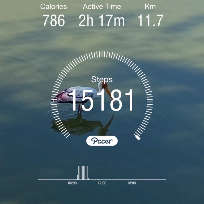 Sriramakrishna post 1