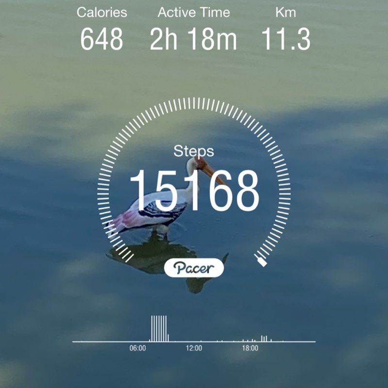 Sriramakrishna post 1