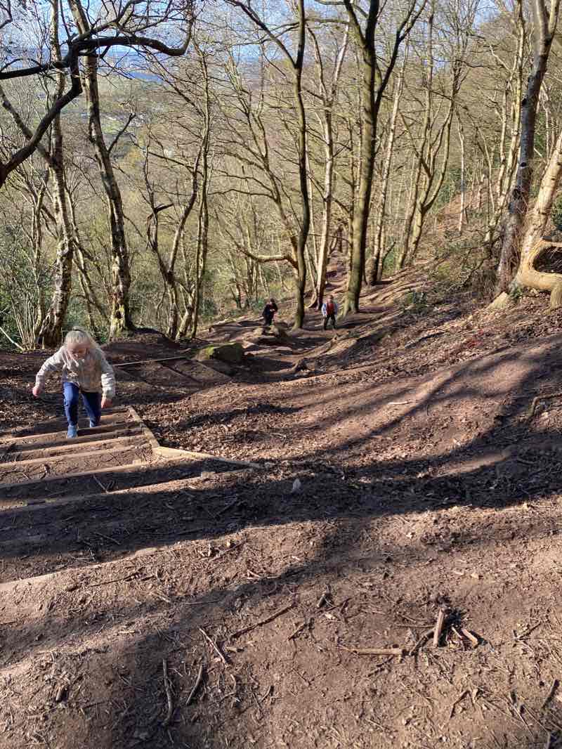 walking near me in Frodsham Hill Memorial Field in winter