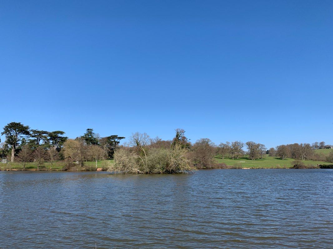 walking near me in Newcombe's Meadow in winter