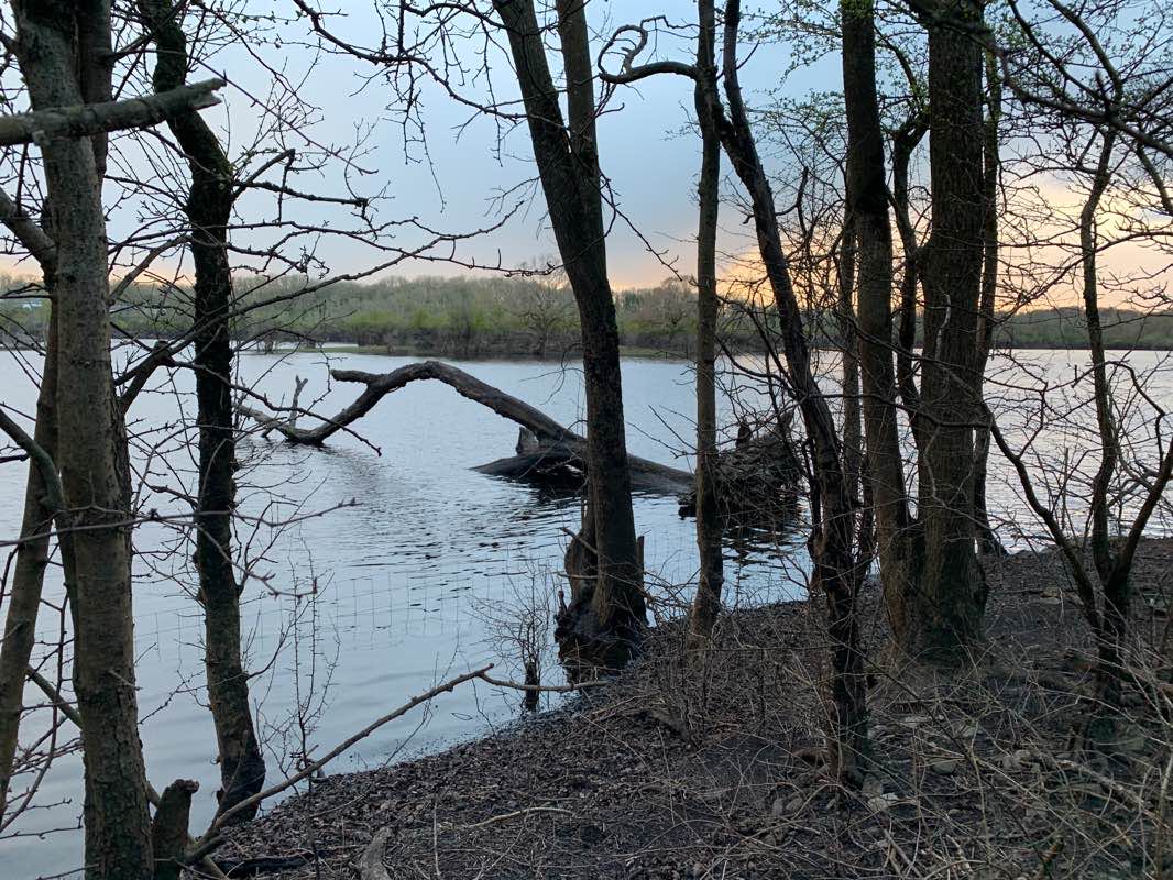 walking near me in Coole-Garryland Nature Reserve in winter