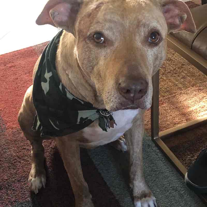 Jason MacMenamin post 1