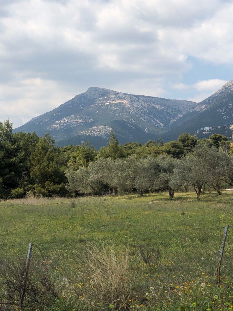 walking near me in Πλατεία Βαρυμπόπης in winter