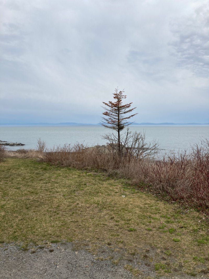 walking near me in Parc de la Pointe in winter