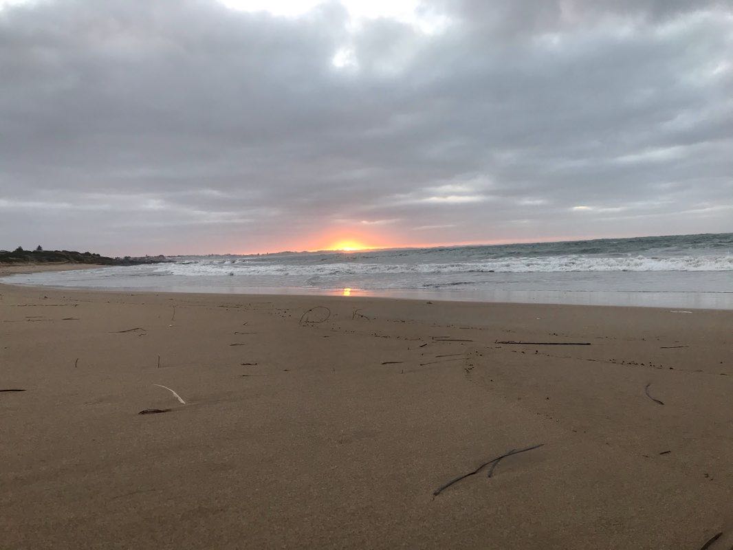 walking near me in Basham Beach Conservation Park in summer
