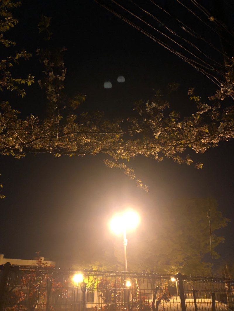 walking near me in 大山公園 in winter