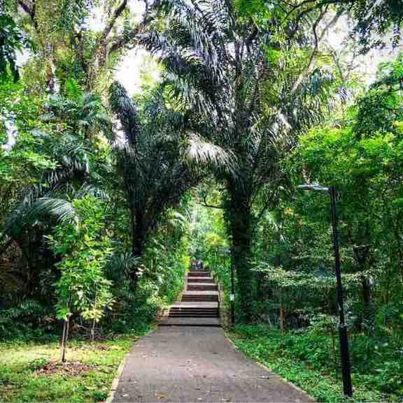 SG ~Ariel.Castillo~ post 3