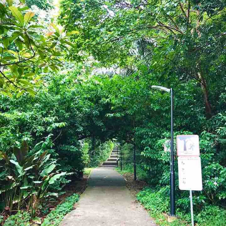 SG ~Ariel.Castillo~ post 2