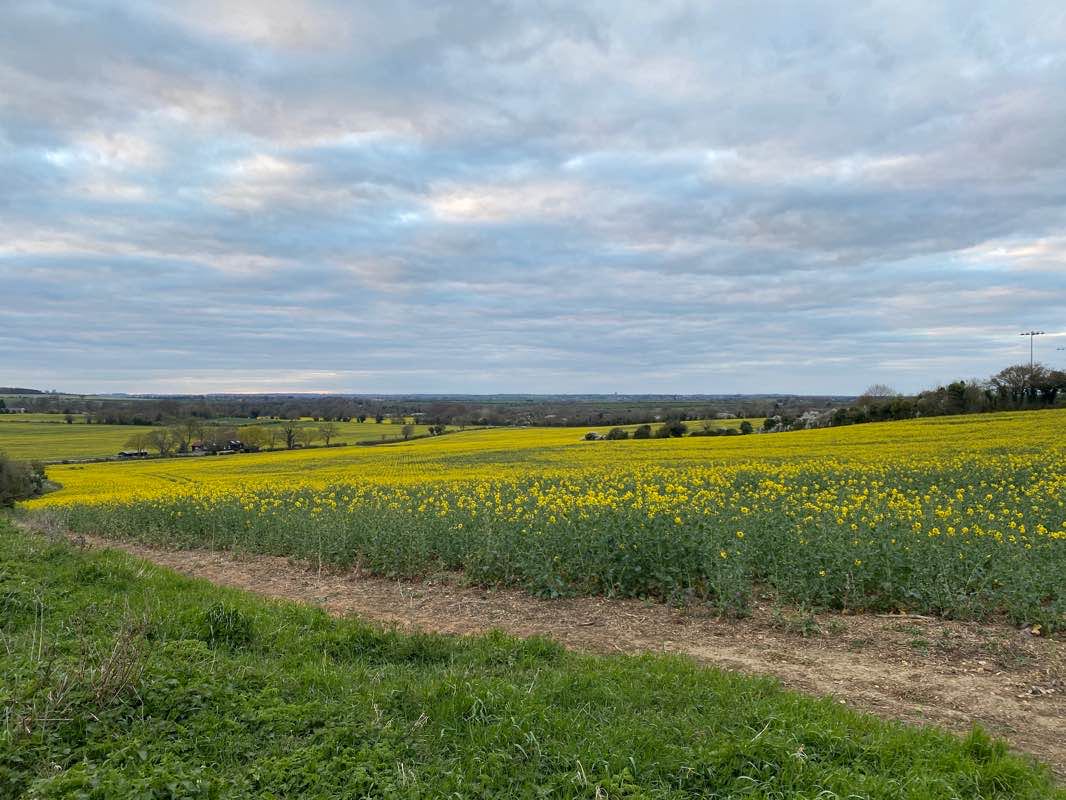 walking near me in Ransom's Recreation Ground in winter
