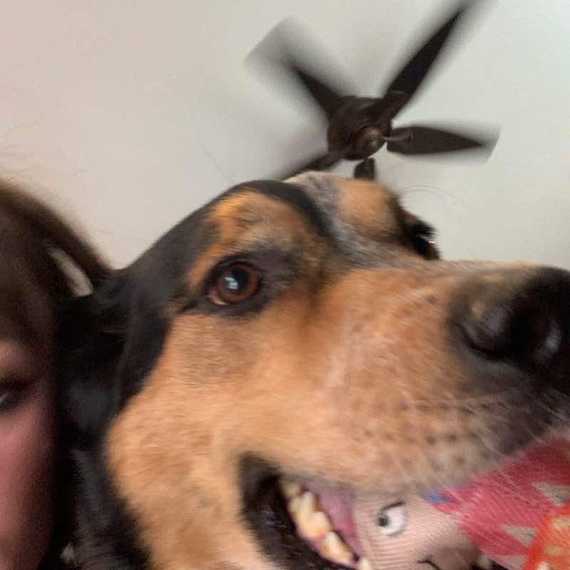 Skylar and Koda post 2