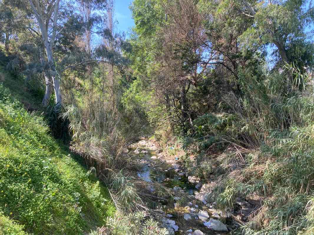 walking near me in Πάρκο Ασυρμάτου (Πλατεία Ελευθερίου Βενιζέλου) in winter
