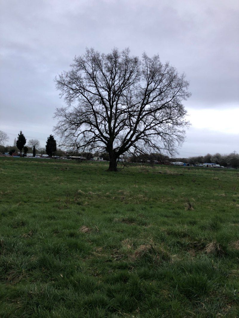 walking near me in Stafford Orchard in winter