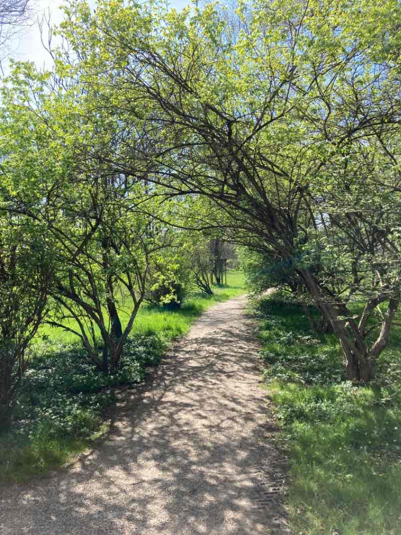 walking near me in Zámecký park Častolovice in winter