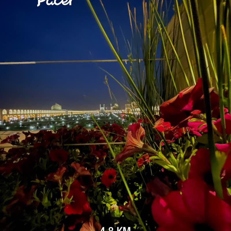 nasrin.torkan1997 post 1