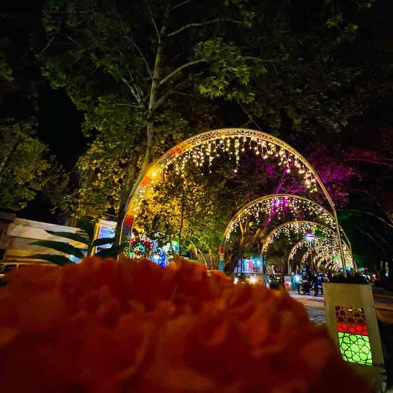 nasrin.torkan1997 post 2