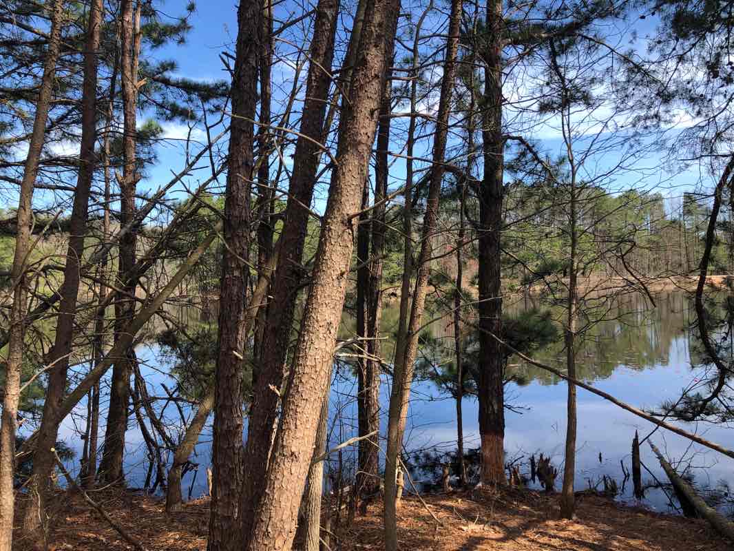 walking near me in Piney Orchard Ice Rink in winter